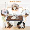 Multifunctional Self Heating Thermal Bed for Dogs