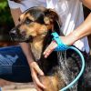 Portable Dog Shower Easy Install Pet Supplies Water Spray  Dog Bath Brush Use Plastic Family Pet Cleaning Grooming Accessories